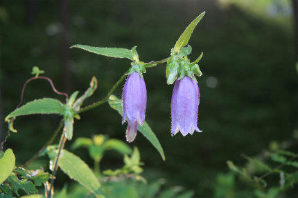 20110630_2.jpg