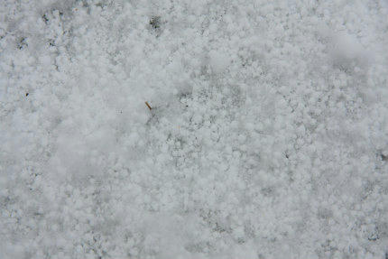 20130125.jpg