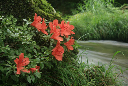 20110702_2.jpg