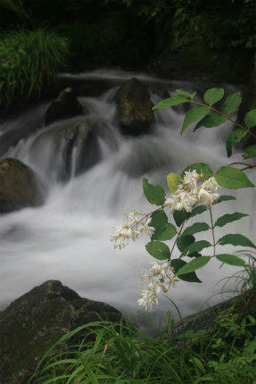 20110702_3.jpg