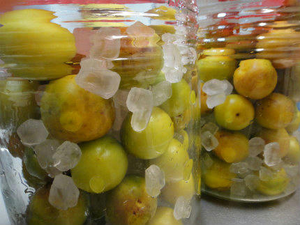 20110705_2.jpg