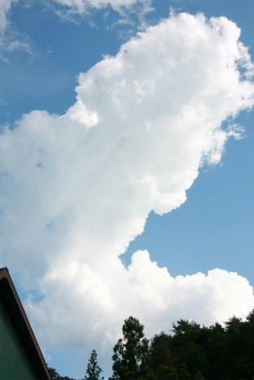 20110709.jpg