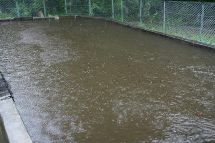 20110719_1.jpg