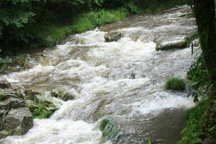 20110719_2.jpg