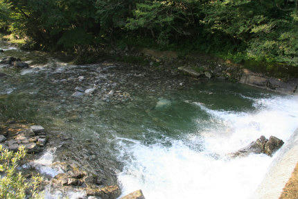 20110723_2.jpg