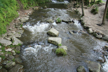 20110731_1.jpg