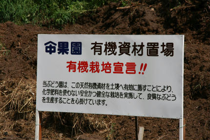 20110804_2.jpg