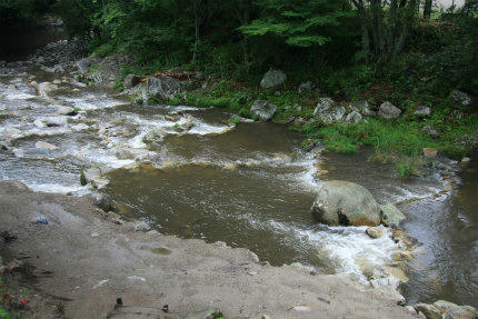 20110807.jpg