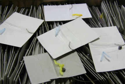 20110822_1.jpg