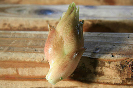 20110826.jpg
