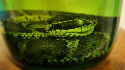 20110829_4.jpg