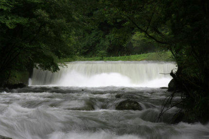20110904_1.jpg