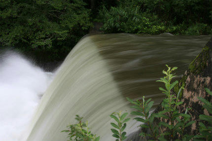 20110904_2.jpg