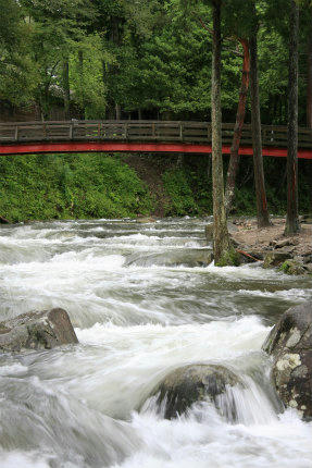 20110904_4.jpg