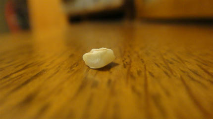 20110907.jpg