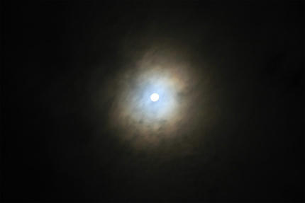 20110912_1.jpg