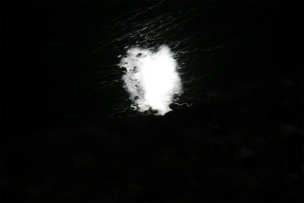 20110912_3.jpg