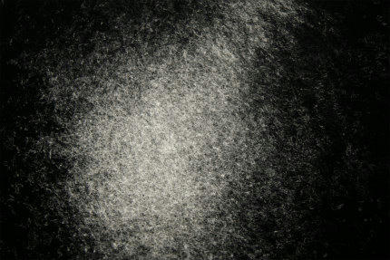 20110912_4.jpg
