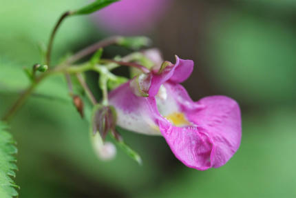 20110914_3.jpg