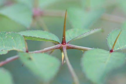20110914_4.jpg