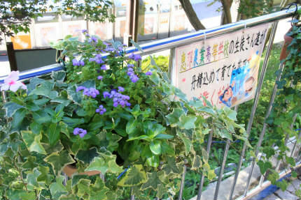 20110919_2.jpg