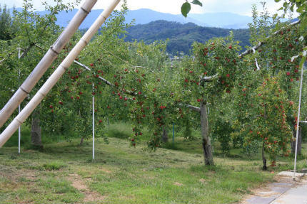 20110919_5.jpg