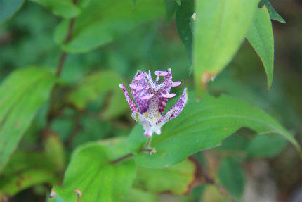 20110923.jpg