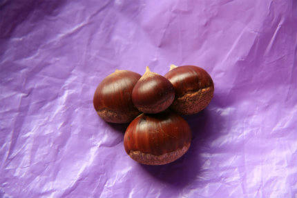 20110925.jpg
