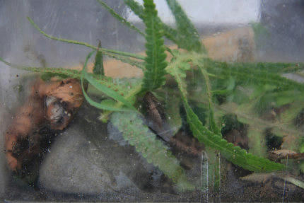 20111009_2.jpg