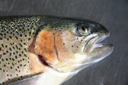 20111017_2.jpg