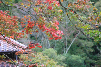 20111022.jpg