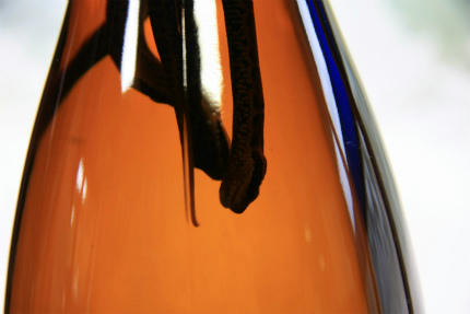 20111024_2.jpg