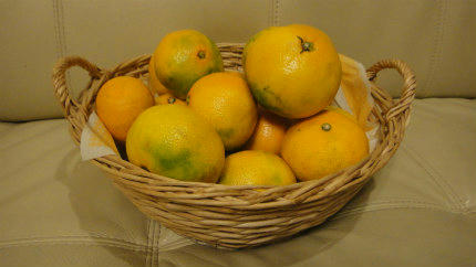 20111025.jpg