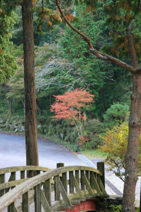 20111027_3.jpg