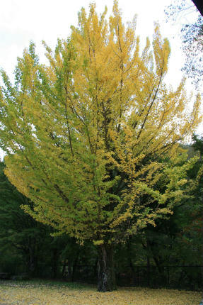 20111027_5.jpg