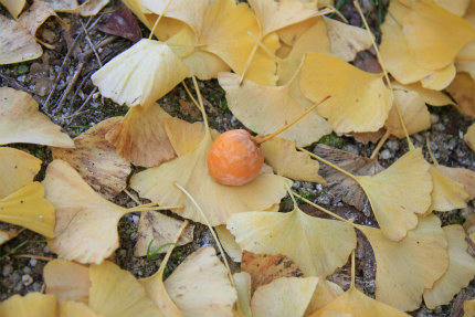 20111027_6.jpg
