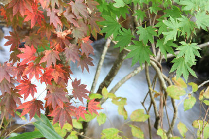 20111029_2.jpg