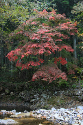 20111105_2.jpg