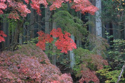 20111105_3.jpg
