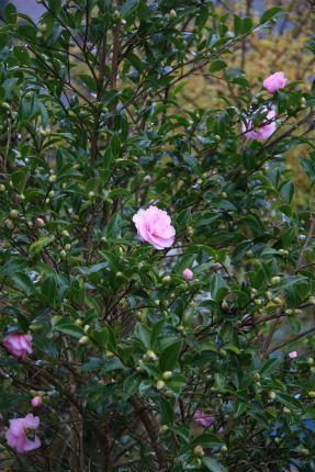 20111105_4.jpg
