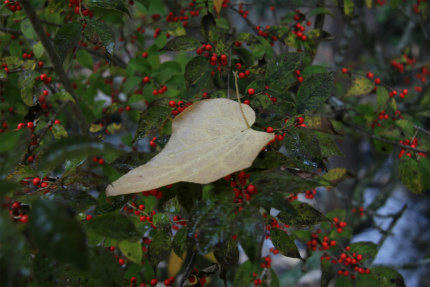 20111105_5.jpg