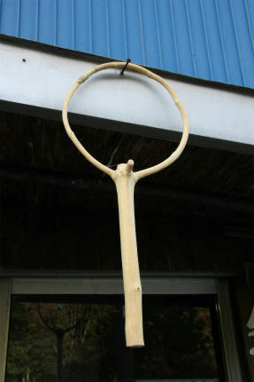 20111107_1.jpg