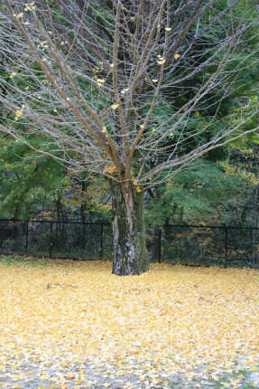 20111109_4.jpg