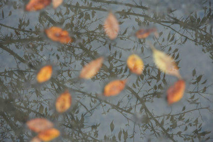 20111110.jpg