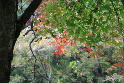 20111112_2.jpg