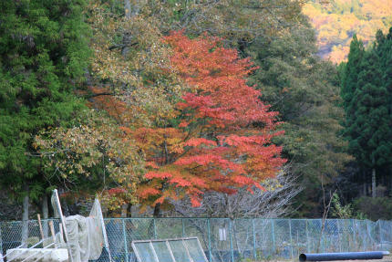 20111115_3.jpg