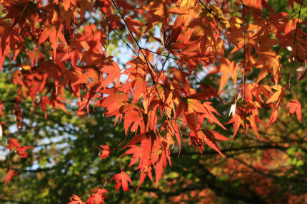 20111117_1.jpg