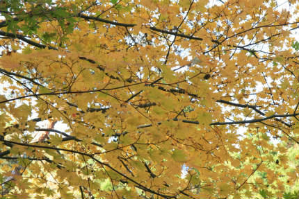 20111117_3.jpg