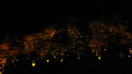 20111126_2.jpg