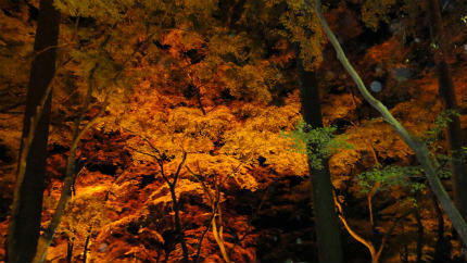 20111126_3.jpg